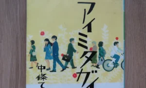 書籍「アイミタガイ」の表紙