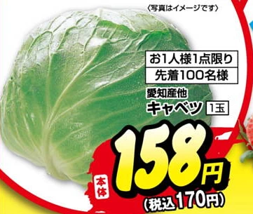 4/9ライフのチラシ